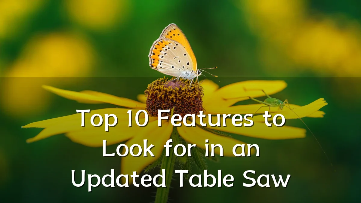 Top 10 Features to Look for in an Updated Table Saw